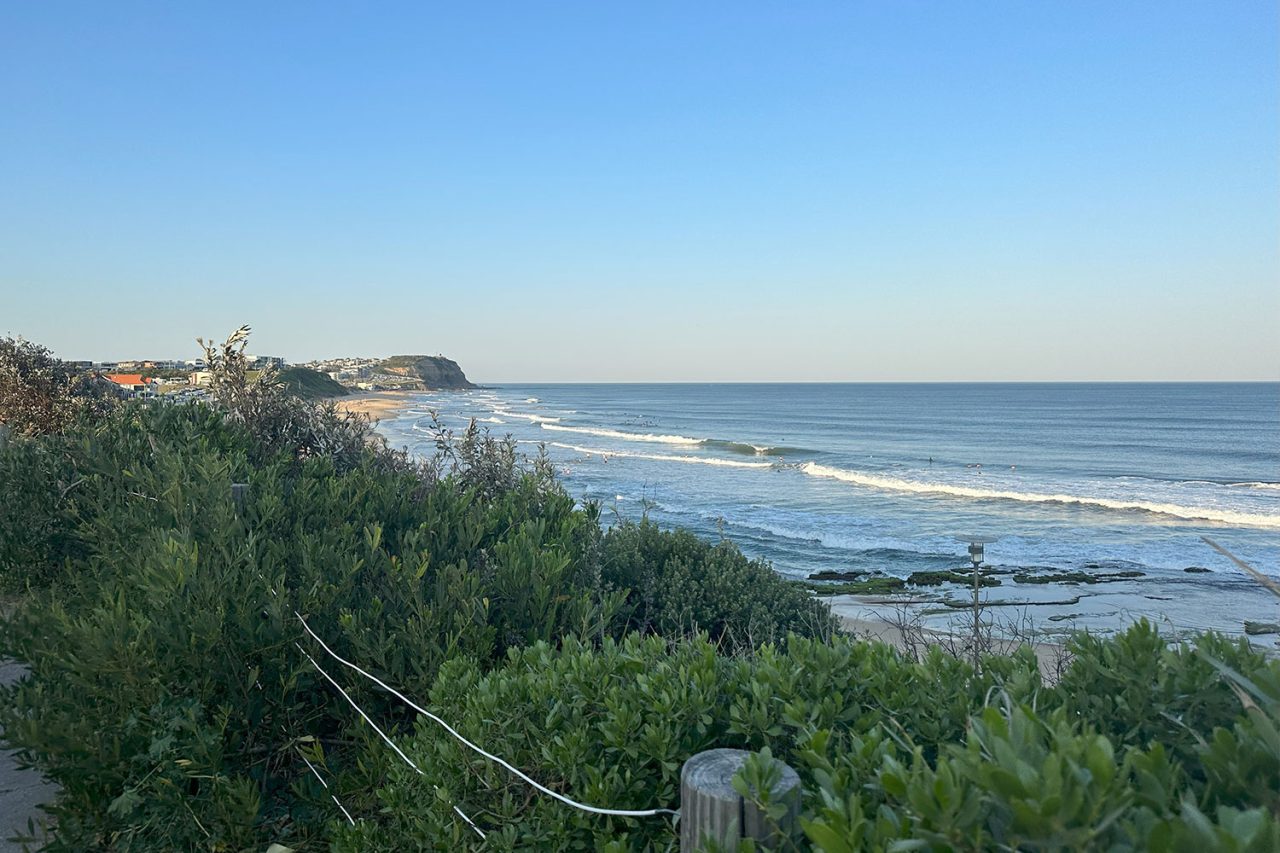 Living in Newcastle A Complete Guide to the Best Suburbs Amato Property